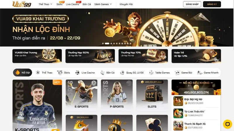 Đôi nét về nhà cái VUA99