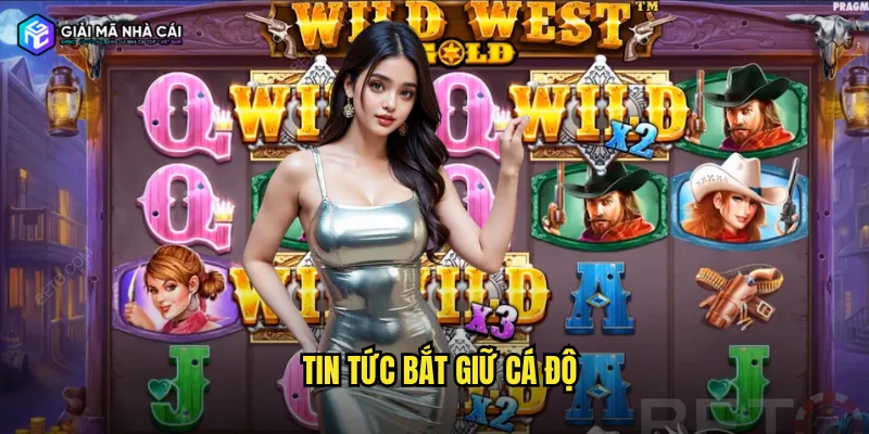 Tin tức bắt giữ cá độ