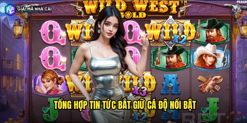Tổng hợp tin tức bắt giữ cá độ nổi bật