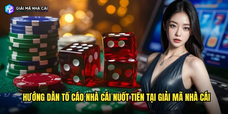 Hướng dẫn tố cáo nhà cái nuốt tiền tại giải mã nhà cái