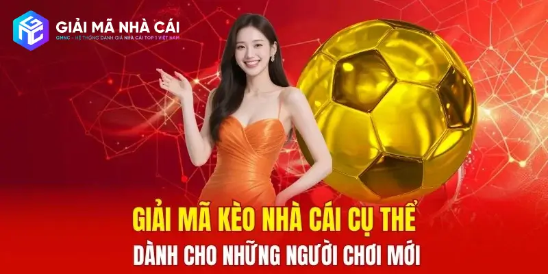 Hướng dẫn chọn nhà cái phù hợp cho người mới